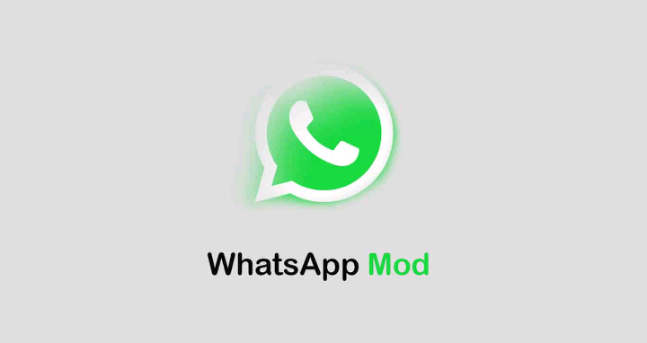 Jenis WhatsApp Mod Apk  