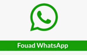 Fouad WhatsApp 