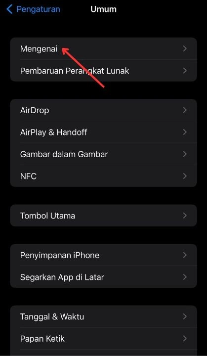 Cara Cek iOS iPhone di pengaturan
