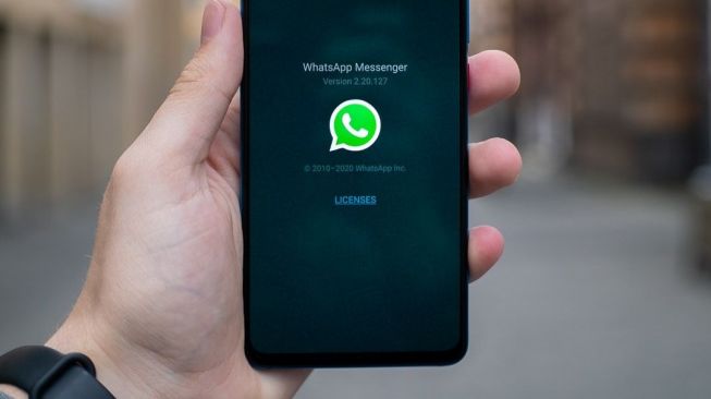Cara Ampuh Mengembalikan Kontak WhatsApp Penting