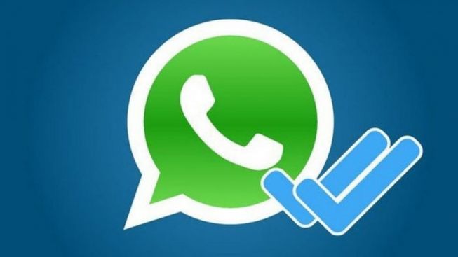 Cara WhatsApp Ceklis Satu tapi Online